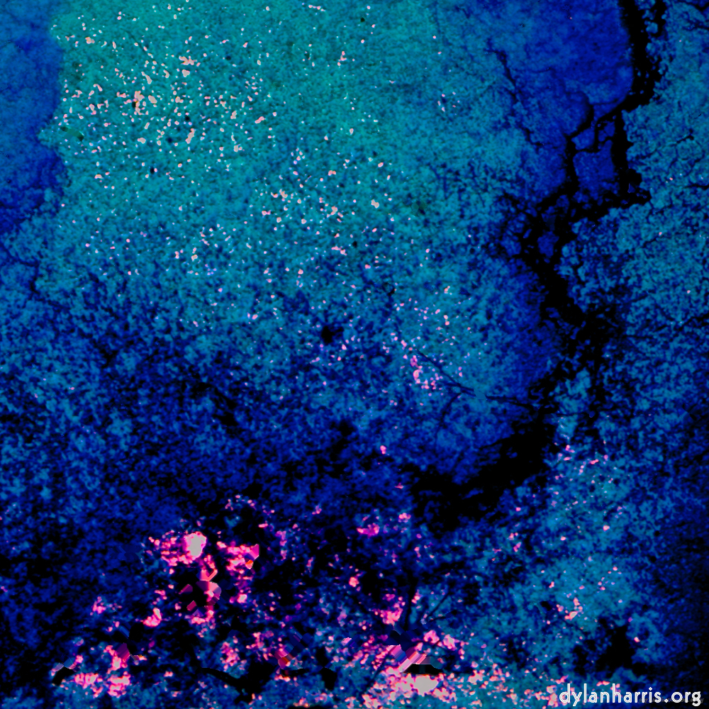 image: This is &lsquo;damage (li) 6&rsquo;.