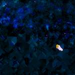 image: Image from the photoset &lsquo;damage (liii)&rsquo;.