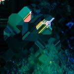 image: Image from the photoset &lsquo;damage (liii)&rsquo;.