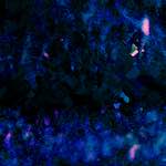 image: Image from the photoset &lsquo;damage (liii)&rsquo;.