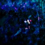 image: Image from the photoset &lsquo;damage (liii)&rsquo;.