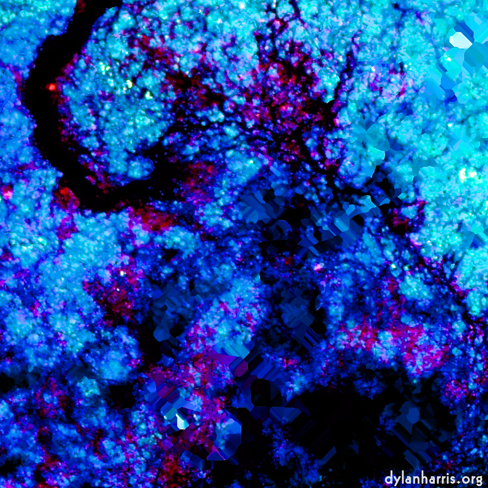 Image 'damage (liv) 6'.