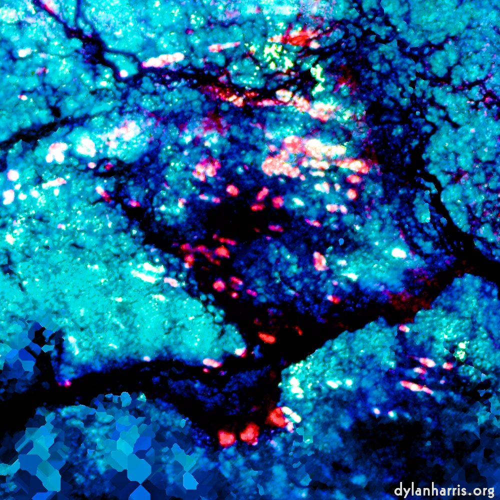 image: This is &lsquo;damage (liv) 8&rsquo;.