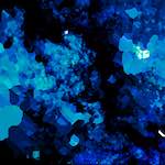 image: Image from the photoset &lsquo;damage (liv)&rsquo;.