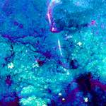 image: Image from the photoset &lsquo;damage (liv)&rsquo;.