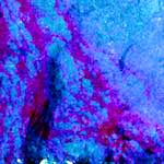 image: Image from the photoset &lsquo;damage (liv)&rsquo;.