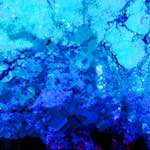 image: Image from the photoset &lsquo;damage (liv)&rsquo;.