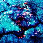 image: Image from the photoset &lsquo;damage (liv)&rsquo;.