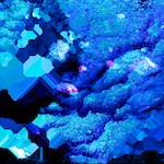 image: Image from the photoset &lsquo;damage (lv)&rsquo;.