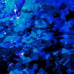 image: Image from the photoset &lsquo;damage (lv)&rsquo;.