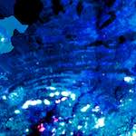 image: Image from the photoset &lsquo;damage (lv)&rsquo;.