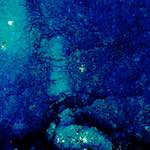 image: Image from the photoset &lsquo;damage (lv)&rsquo;.