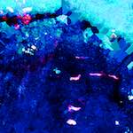 image: Image from the photoset &lsquo;damage (lvii)&rsquo;.