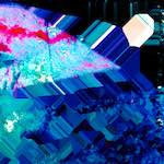 image: Image from the photoset &lsquo;damage (lvii)&rsquo;.