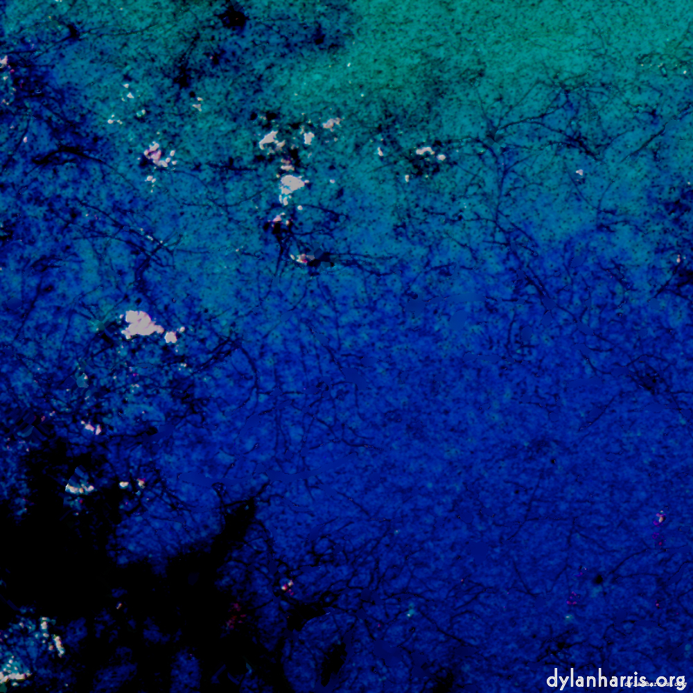 image: This is &lsquo;damage (lviii) 6&rsquo;.