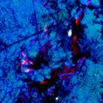 image: Image from the photoset &lsquo;damage (lviii)&rsquo;.