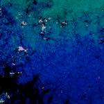 image: Image from the photoset &lsquo;damage (lviii)&rsquo;.