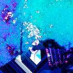 image: Image from the photoset &lsquo;damage (lviii)&rsquo;.