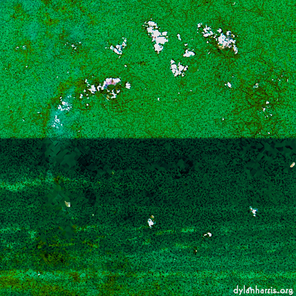 image: This is &lsquo;damage (lxi) 3&rsquo;.