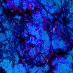 image: Image from the photoset &lsquo;damage (lxi)&rsquo;.