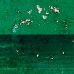 image: Image from the photoset &lsquo;damage (lxi)&rsquo;.