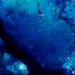 image: Image from the photoset &lsquo;damage (lxi)&rsquo;.