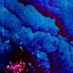 image: Image from the photoset &lsquo;damage (lxi)&rsquo;.