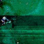 image: Image from the photoset &lsquo;damage (lxi)&rsquo;.