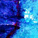 image: Image from the photoset &lsquo;damage (lxii)&rsquo;.