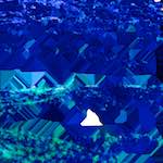 image: Image from the photoset &lsquo;damage (lxii)&rsquo;.