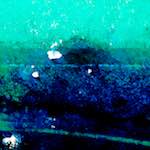 image: Image from the photoset &lsquo;damage (lxvi)&rsquo;.