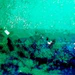 image: Image from the photoset &lsquo;damage (lxvi)&rsquo;.