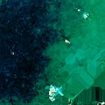 image: Image from the photoset &lsquo;damage (lxvi)&rsquo;.