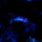 image: Image from the photoset &lsquo;damage (lxvii)&rsquo;.