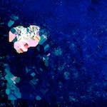 image: Image from the photoset &lsquo;damage (lxvii)&rsquo;.