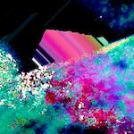 image: Image from the photoset &lsquo;damage (lxvii)&rsquo;.