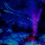 image: Image from the photoset &lsquo;damage (lxviii)&rsquo;.