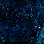 image: Image from the photoset &lsquo;damage (lxxi)&rsquo;.