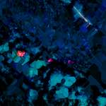 image: Image from the photoset &lsquo;damage (lxxi)&rsquo;.