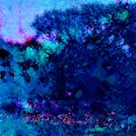 image: Image from the photoset &lsquo;damage (lxxii)&rsquo;.