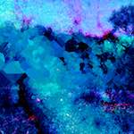 image: Image from the photoset &lsquo;damage (lxxiii)&rsquo;.