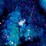 image: Image from the photoset &lsquo;damage (lxxiii)&rsquo;.