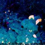 image: Image from the photoset &lsquo;damage (lxxiii)&rsquo;.