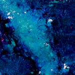 image: Image from the photoset &lsquo;damage (lxxiii)&rsquo;.