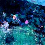 image: Image from the photoset &lsquo;damage (lxxiii)&rsquo;.