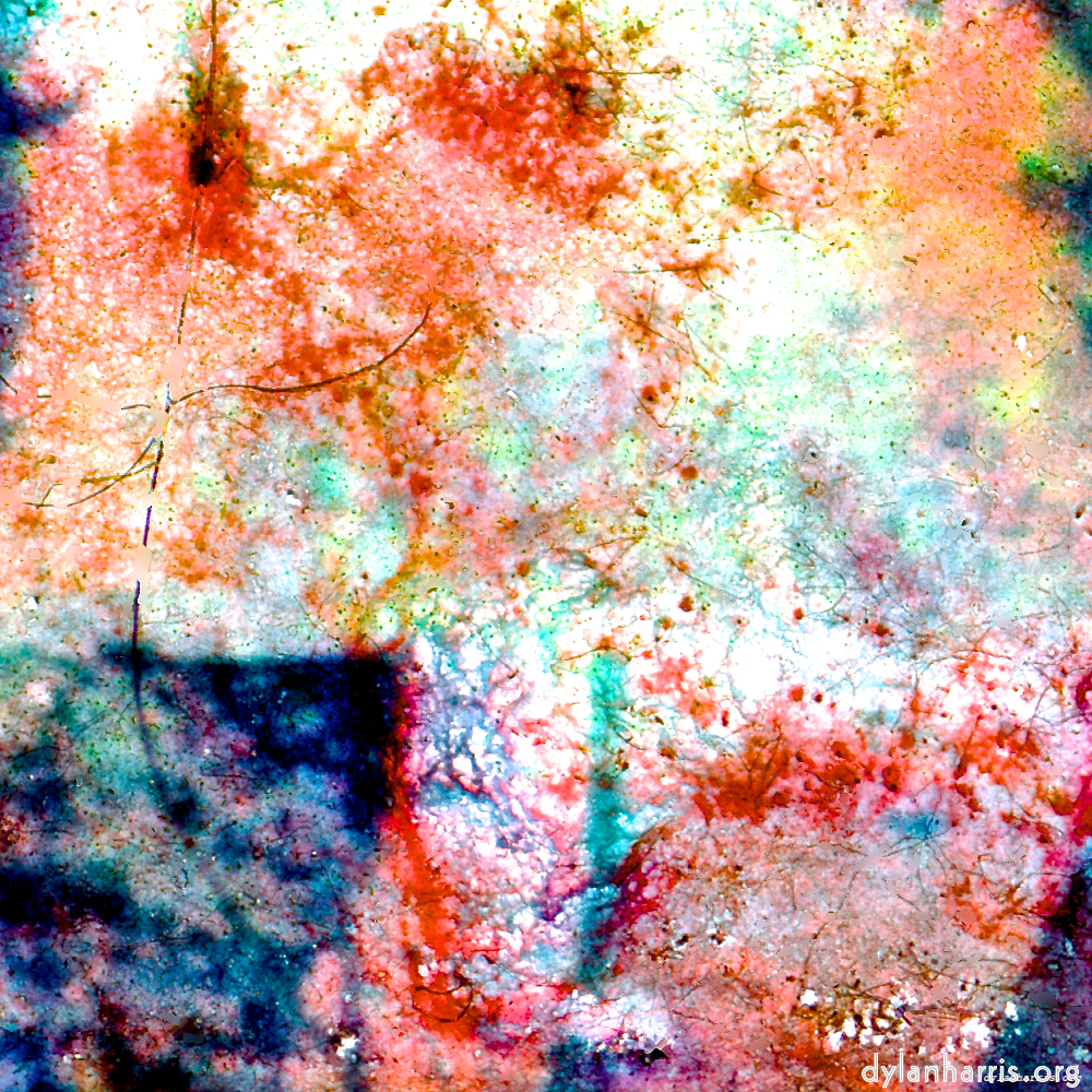 image: This is &lsquo;damage (lxxiv) 5&rsquo;.