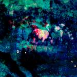 image: Image from the photoset &lsquo;damage (lxxiv)&rsquo;.