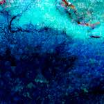 image: Image from the photoset &lsquo;damage (lxxiv)&rsquo;.