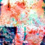 image: damage (lxxiv) photoset