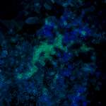 image: Image from the photoset &lsquo;damage (lxxiv)&rsquo;.